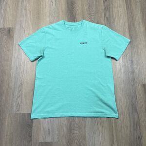 Patagonia Shirt Mens Large Green Responsibili-Tee P-6 Logo Back Print Graphic